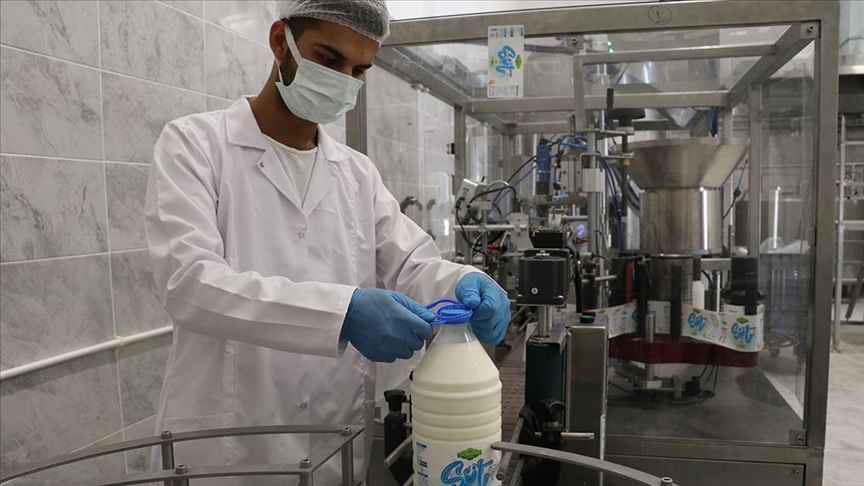Belediyenin süt işleme tesisi üreticilere kazandırıyor