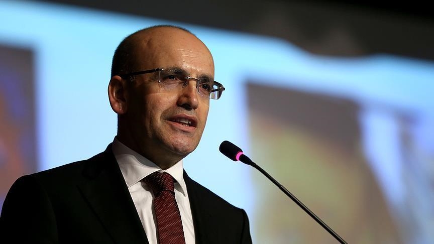 Turkish finance minister hails deals signed between Türkiye, UAE