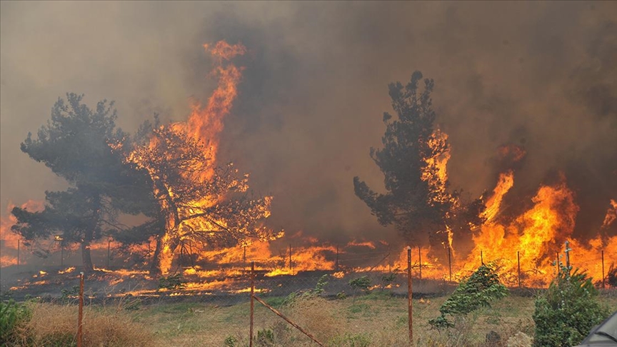 Türkiye'de geçen yıl çıkan orman yangınlarından 830'unun sebebi ihmal ve kazalar