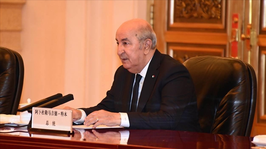 تبون: الجزائر تتمتع بعلاقات طيبة مع دول بينها تركيا