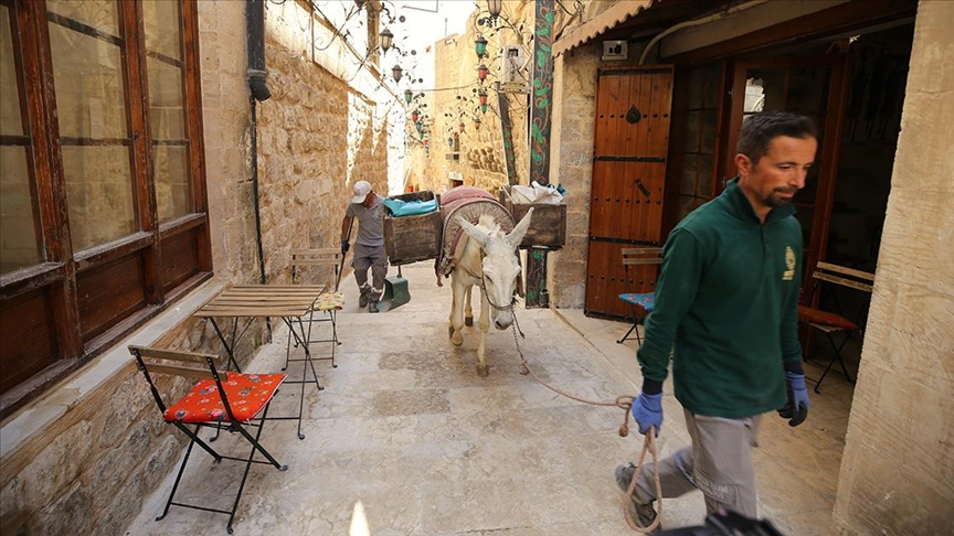 Mardin'de çöp taşıyan kadrolu eşeklerin yaz mesaisi 