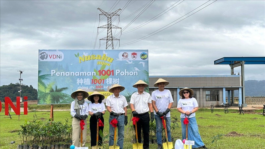 Promosikan keseimbangan ekosistem, PPI Dunia tanam 1000 pohon di Sulawesi Tenggara