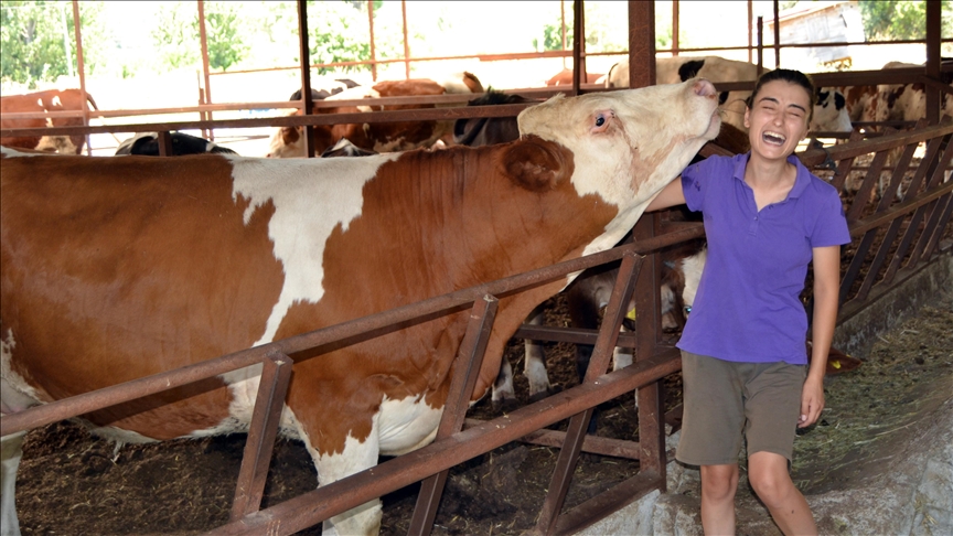 Cow selfie with owner wins hearts