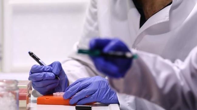 Half of world population at risk of dengue virus: WHO