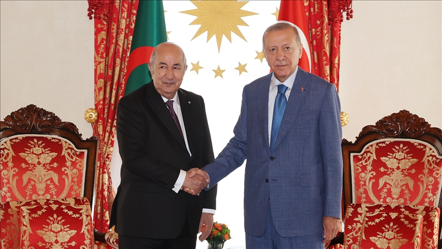 Turkish, Algerian presidents meet in Istanbul for talks