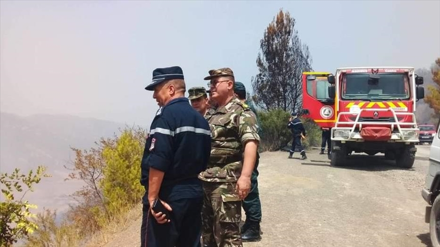 الجزائر: نعمل على إخماد حرائق غابات في 7 ولايات