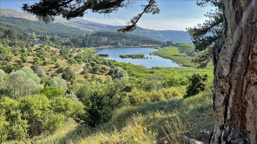 Bolu Karagol Nature Park in Türkiye attracts nature enthusiasts