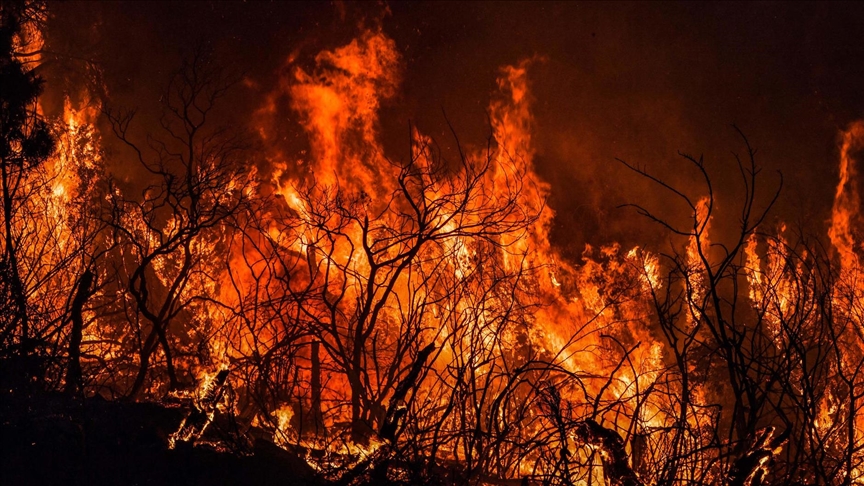 المغرب يعزّي الجزائر بضحايا حرائق الغابات