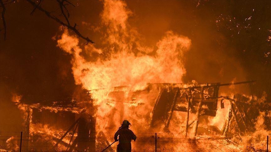 En dix ans, la Terre a perdu 82 millions d’hectares de forêts dans des incendies