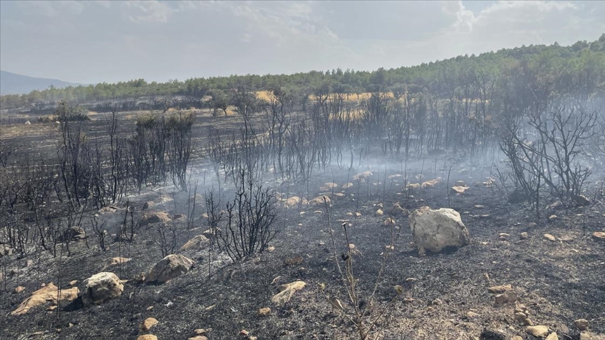 Isparta'da çıkan orman yangını kontrol altına alındı