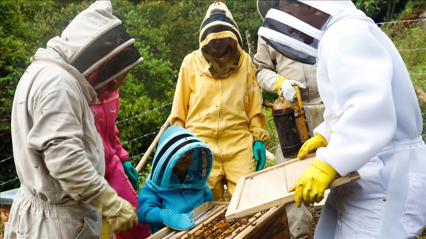 Colombian beekeepers get ready to confront impacts of El Nino