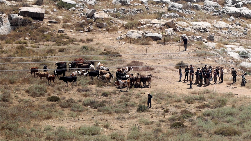 Jevrejska naselja na Zapadnoj obali čine život palestinskim poljoprivrednicima nepodnošljivim