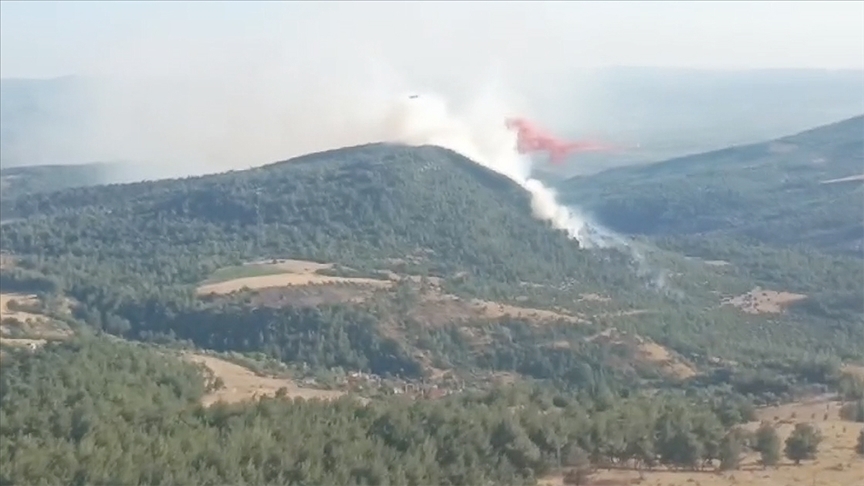 Manisa'da çıkan orman yangını kontrol altına alındı