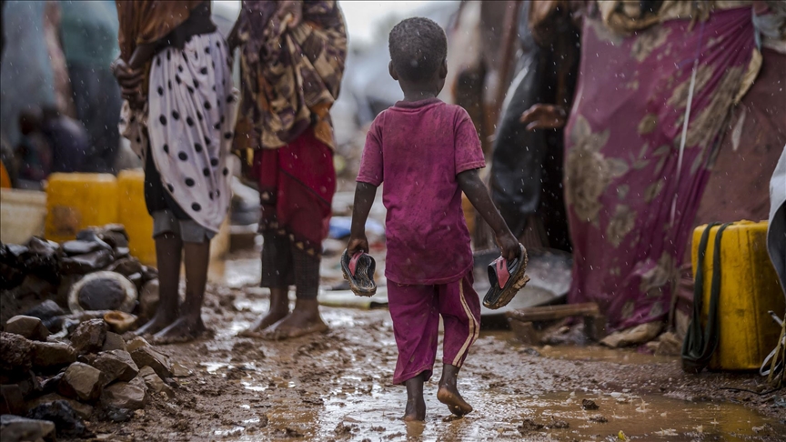 US to prioritize food security as it takes over UN Security Council presidency US to prioritize food security as it takes over UN Security Council presidency