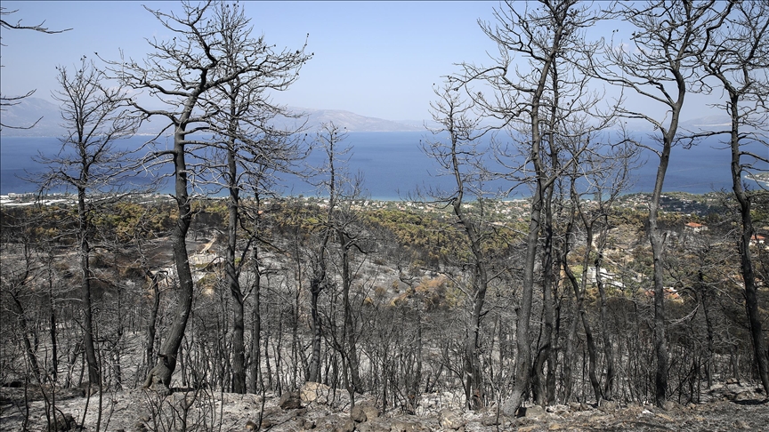 Grčka: U drugoj polovini jula izgorjelo 190.202 hektara šumskog zemljišta
