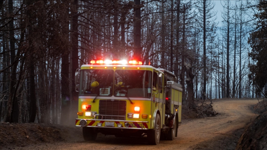 California's largest wildfire threatening historic Joshua trees in Mojave Desert