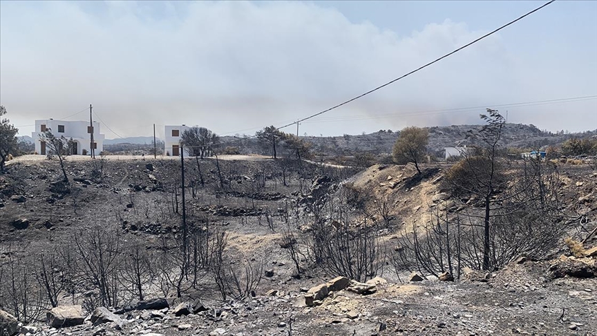 Deforestation caused by wildfires worsening climate crisis: Greek expert