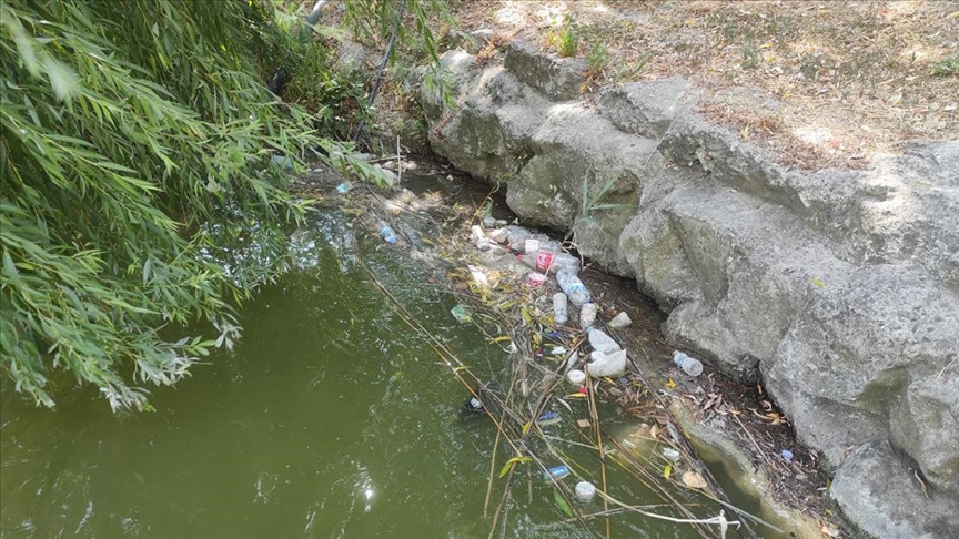 Bakırköy Botanik Parkında hayvanları öldüren ilgisizlik