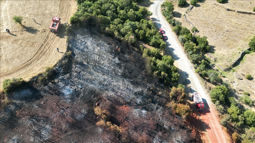 Manisa'da makilik alanda çıkan yangın kontrol altına alındı