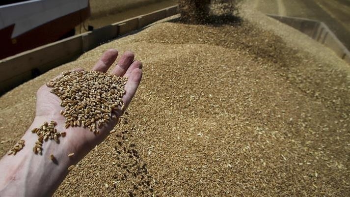 US says Russia's free grain offer to 6 African nations 'laughable'
