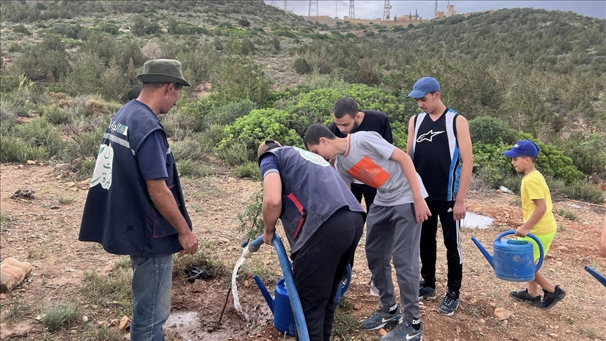 حملات شعبية.. بزرع شجرة تزداد الجزائر خضرة (تقرير)