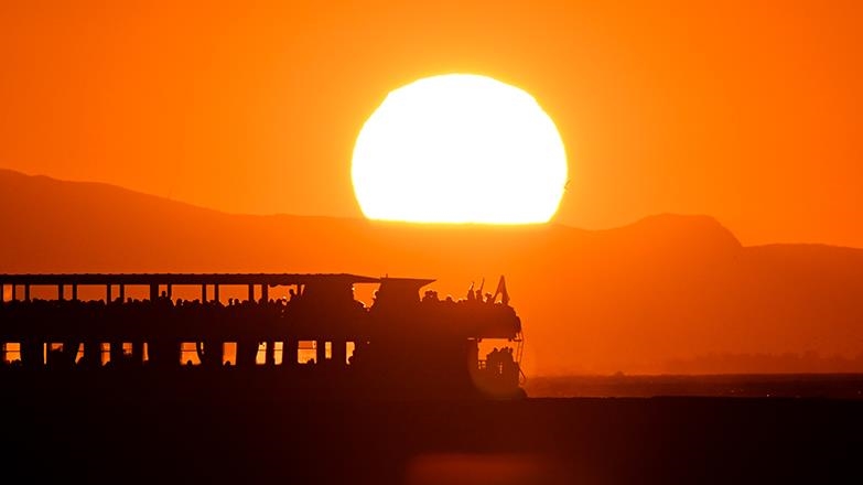 Июль 2023 года стал самым жарким за всю историю наблюдений