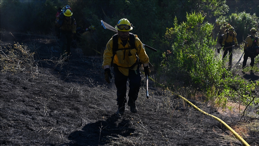 Ongoing wildfires in US state of Hawaii leave 36 dead