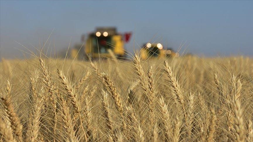 Kazakhstan extends ban on import of wheat by road