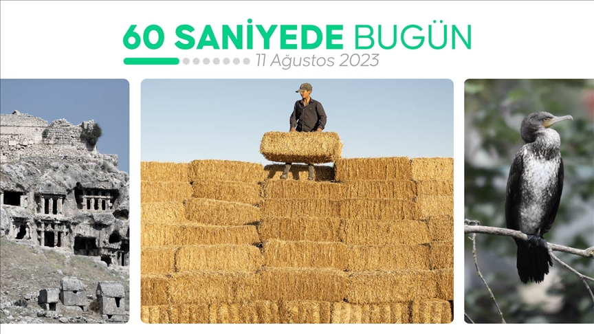 60 saniyede bugün (11 Ağustos 2023)