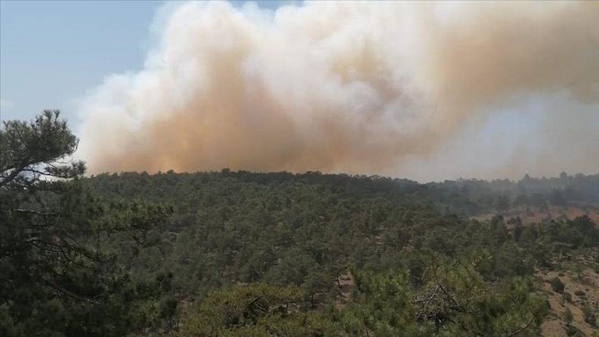 Denizli'de çıkan orman yangını kontrol altına alındı