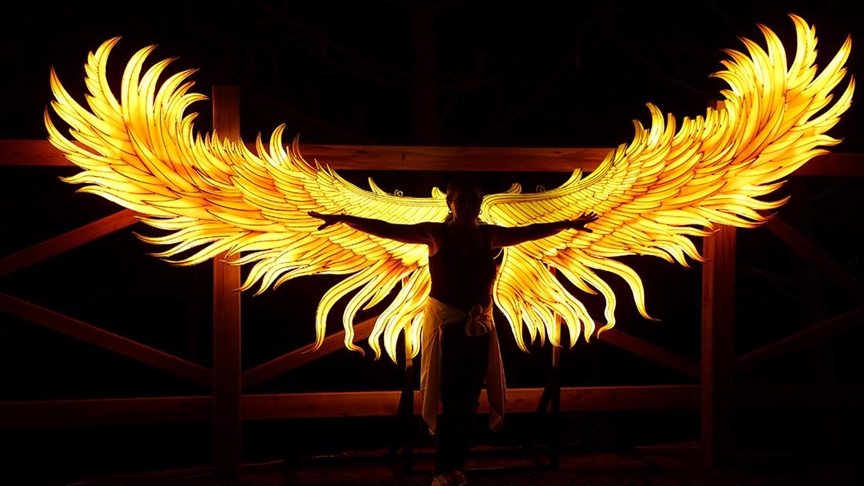 Turkiye: "Festival svjetla u šumi" u Istanbulu privlači ljubitelje umjetnosti