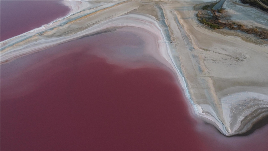 France: les salines de la commune d'Aigues-Mortes prennent la couleur rose en été