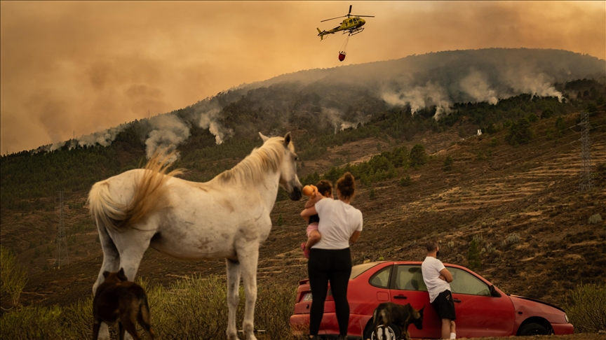 Archipel des Canaries: environ 26 000 personnes évacuées face aux incendies à Tenerife