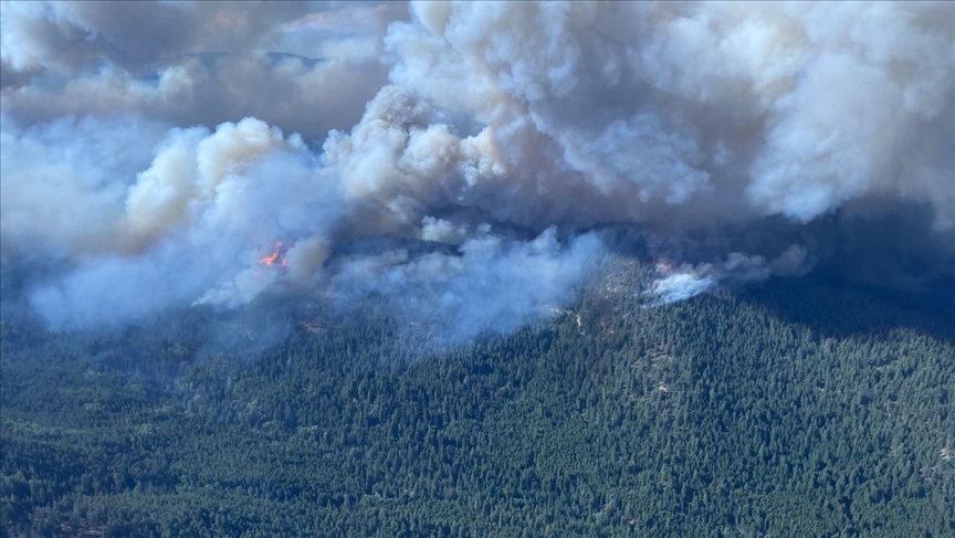 Canadian province of British Columbia declares state of emergency as ...