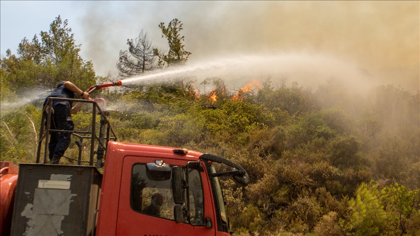 Wildfire in northeastern Greece razes forest