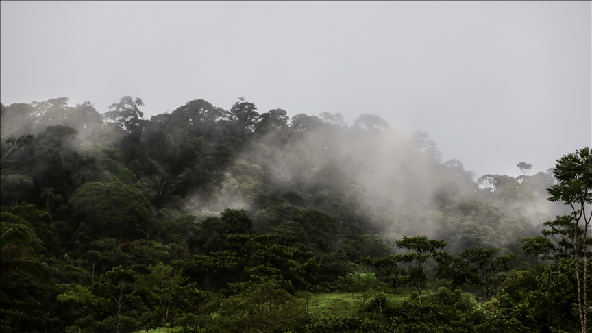 Ecuadorians vote against oil drilling in Amazon rainforest