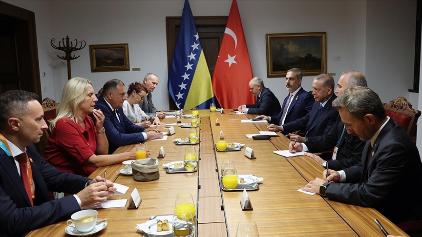 Эрдоган принял делегацию Боснии и Герцеговины
