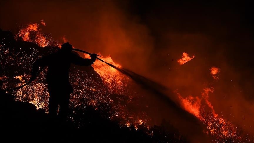 آتشسوزی جنگلها در یونان؛ جسد 18 نفر در جنگل دادیا پیدا شد