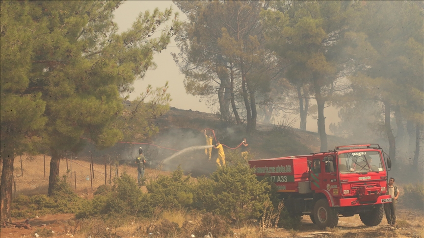 Villages evacuated due to wildfire in Turkish western province