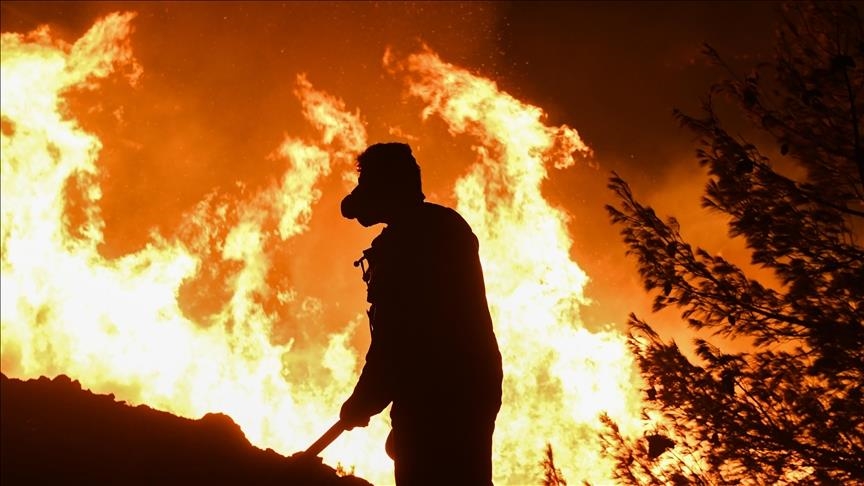 Se hallan 18 cadáveres, incluidos dos niños, por incendios forestales en la región de Evros, Grecia