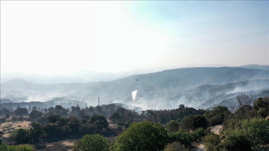 Türkiye continues battle against wildfire in western province