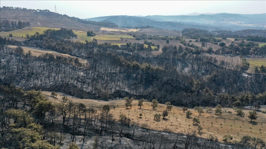 Firefighters contain wildfires in northwestern, central Türkiye