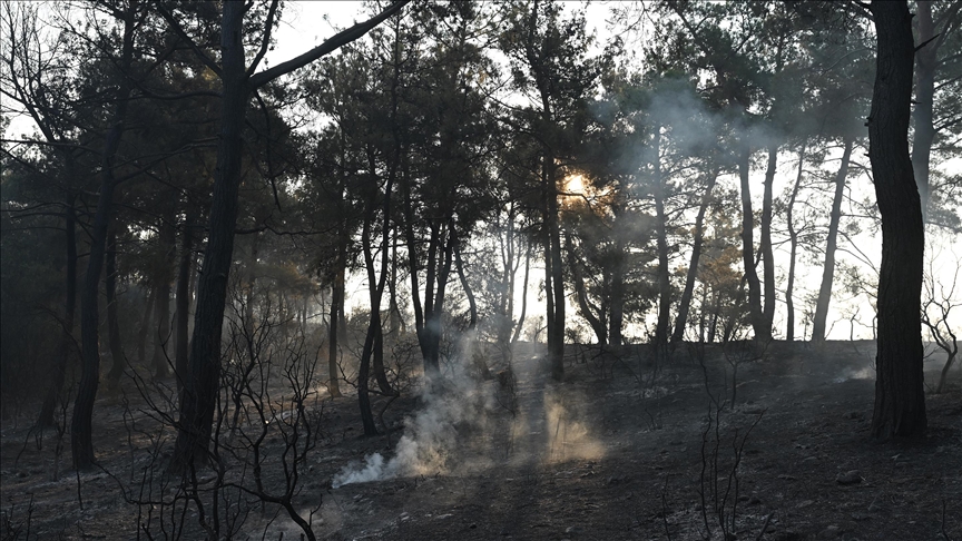 Šumski požari u sjeverozapadnoj i centralnoj Turkiye stavljeni pod kontrolu