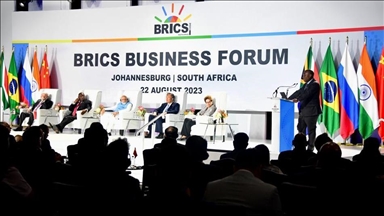 BRICS: Global aims or a new scramble for Africa?
