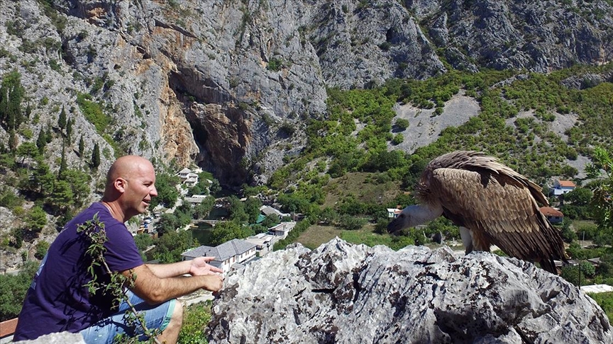 “Novi val” namjerava reintroducirati bjeloglavog supa u Hercegovini
