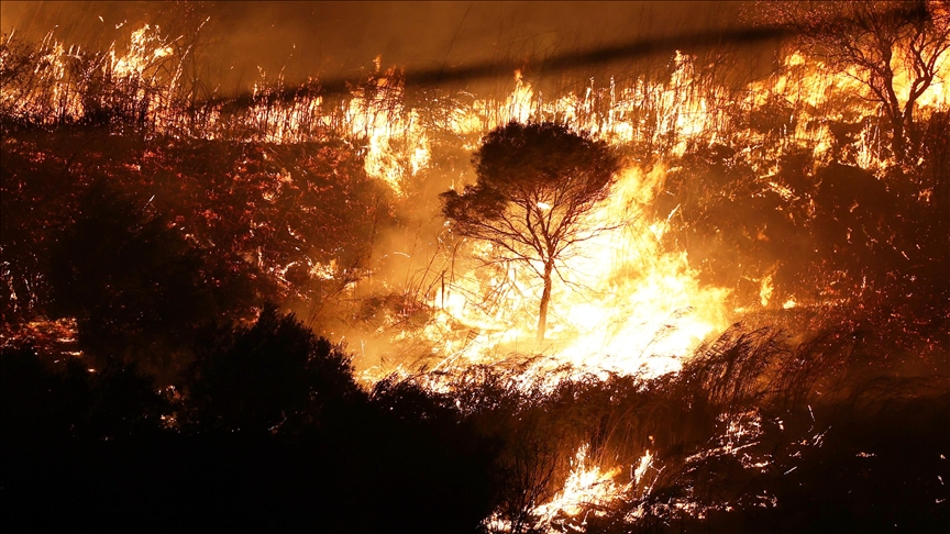 Italija: Šumski požari pustoše Siciliju