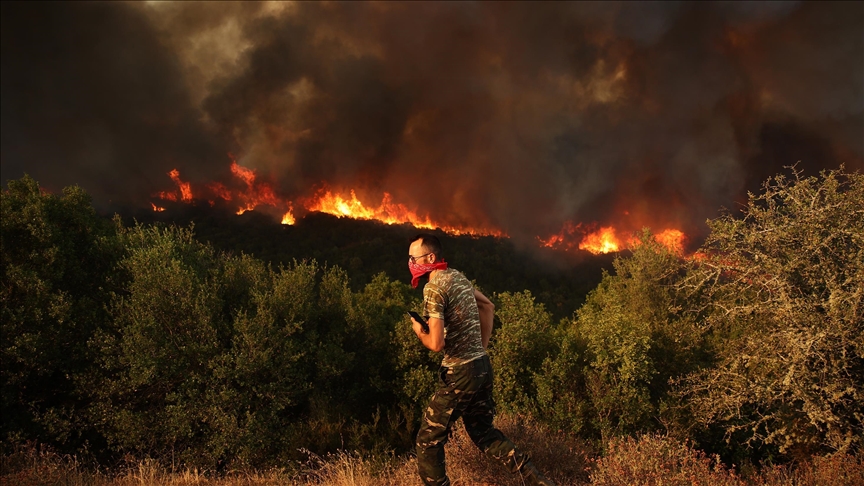Лесные пожары в Греции стали крупнейшими в истории ЕС 