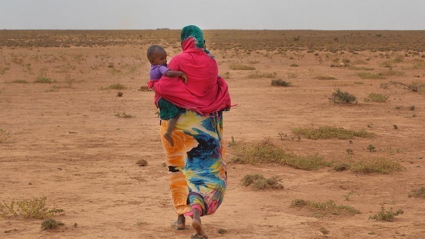 4.3M people displaced internally in Somalia due to drought, insecurity: Report