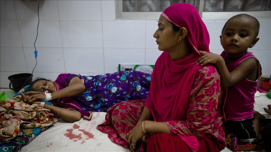 August turns deadliest as Bangladesh records 593 dengue deaths