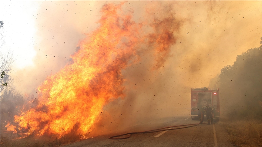 Greece experiences decline in number of fires but monumental increase in burned areas